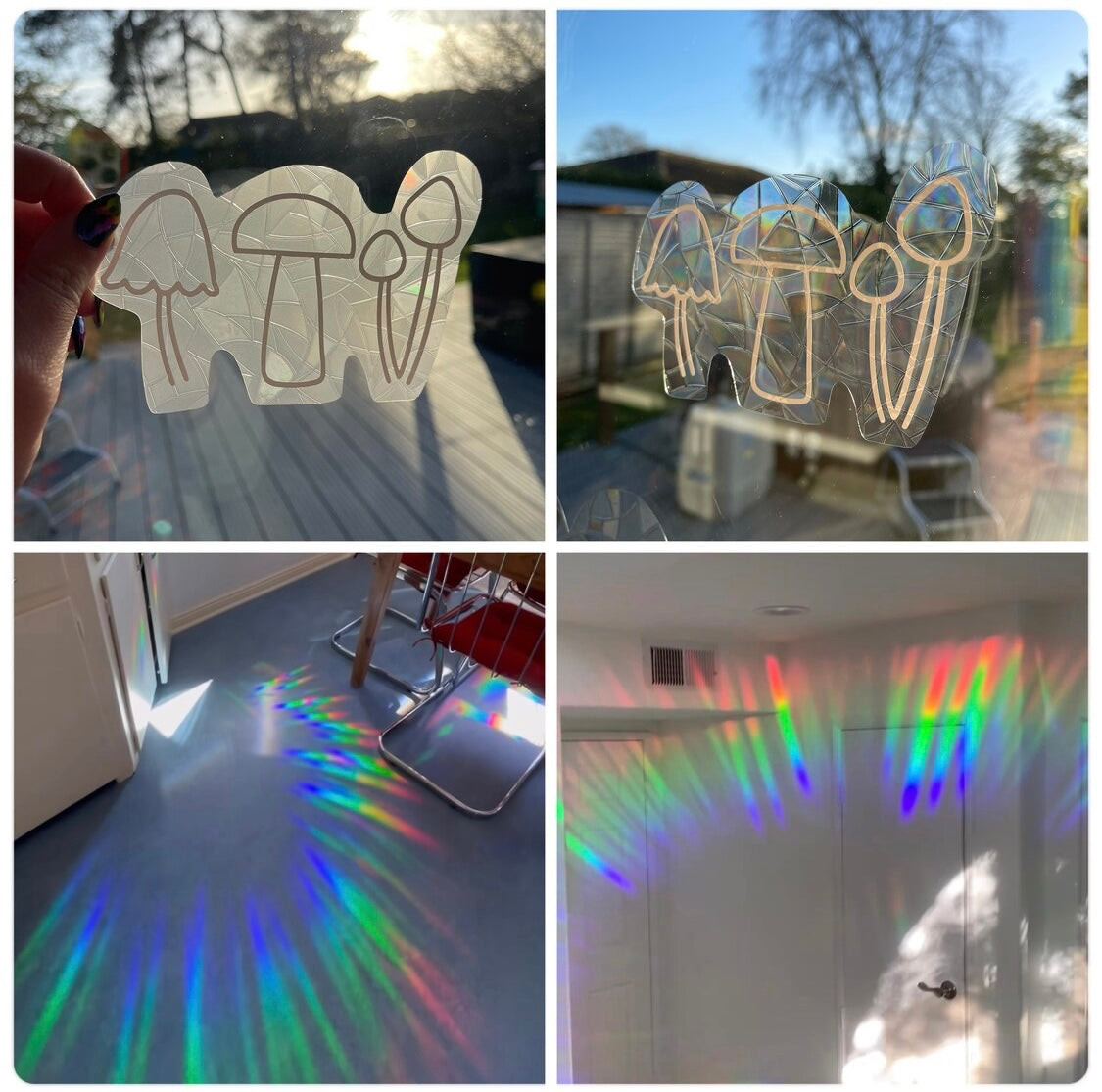 Mushroom rainbow maker